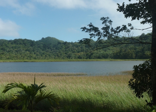 Grand Etang le lac.JPG